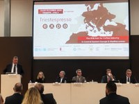 Caffè, il porto di Trieste verso le 140 mila tonnellate nel 2026, il dato più alto dal 2019. Consalvo: “Il legame tra il porto e la filiera può crescere ancora”